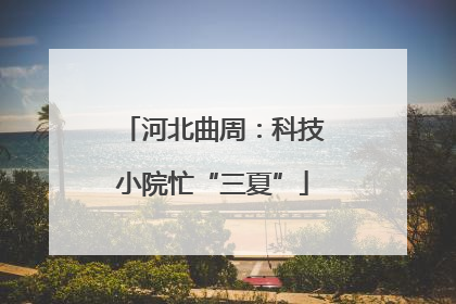 河北曲周：科技小院忙“三夏”