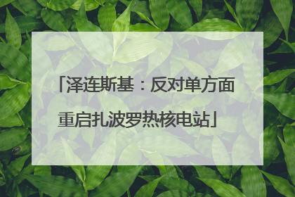 泽连斯基：反对单方面重启扎波罗热核电站