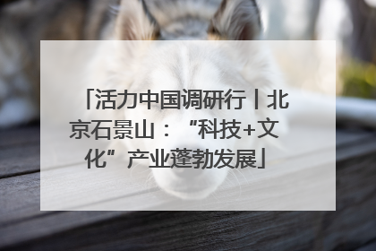 活力中国调研行丨北京石景山：“科技+文化”产业蓬勃发展
