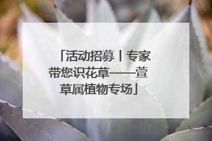 活动招募丨专家带您识花草——萱草属植物专场