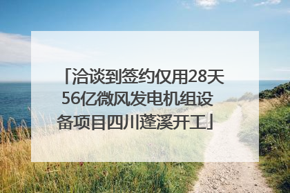 洽谈到签约仅用28天 56亿微风发电机组设备项目四川蓬溪开工