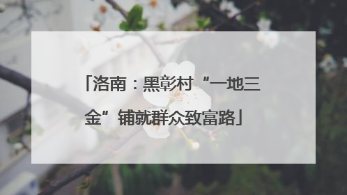 洛南：黑彰村“一地三金”铺就群众致富路