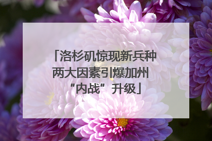 洛杉矶惊现新兵种 两大因素引爆加州“内战”升级