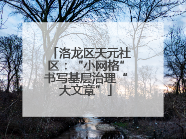 洛龙区天元社区：“小网格”书写基层治理“大文章”