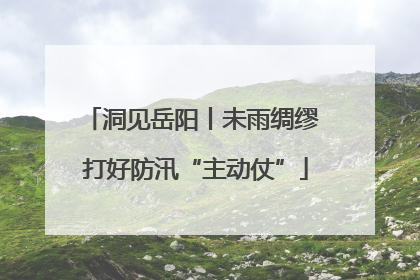 洞见岳阳丨未雨绸缪 打好防汛“主动仗”