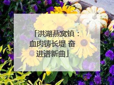 洪湖燕窝镇：血肉铸长堤 奋进谱新曲