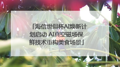 海信世俱杯AI焕新计划启动 AI真空磁场保鲜技术重构美食场景