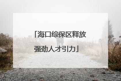 海口综保区释放强劲人才引力