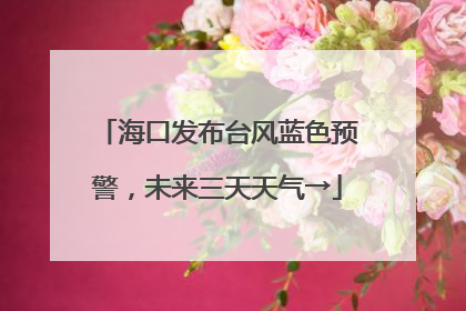 海口发布台风蓝色预警，未来三天天气→