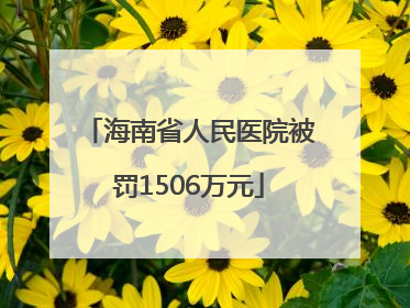 海南省人民医院被罚1506万元