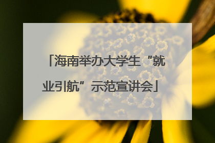海南举办大学生“就业引航”示范宣讲会