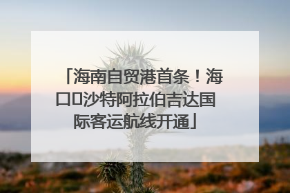 海南自贸港首条！海口⇌沙特阿拉伯吉达国际客运航线开通