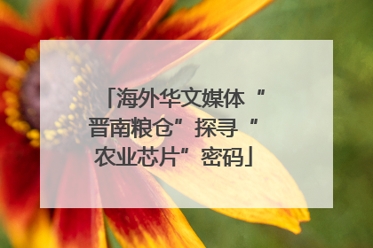 海外华文媒体“晋南粮仓”探寻“农业芯片”密码