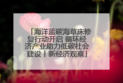 海洋蓝碳海草床修复行动开启 循环经济产业助力低碳社会建设丨新经济观察