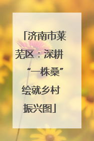 济南市莱芜区：深耕“一株桑” 绘就乡村振兴图