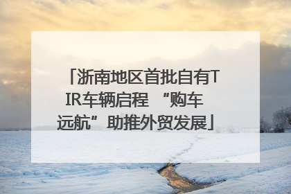 浙南地区首批自有TIR车辆启程 “购车远航”助推外贸发展