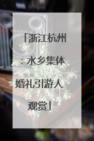 浙江杭州：水乡集体婚礼引游人观赏