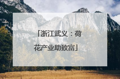 浙江武义：荷花产业助致富