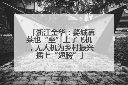 浙江金华：婺城蔬菜也“坐”上了飞机，无人机为乡村振兴插上“翅膀”