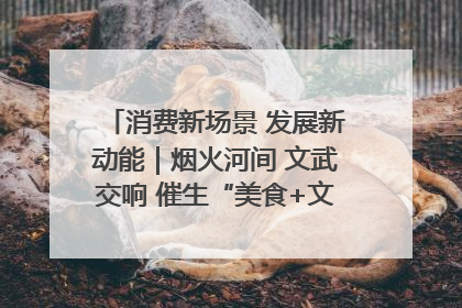 消费新场景 发展新动能｜烟火河间 文武交响 催生“美食+文化”消费新场景