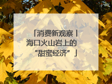 消费新观察丨海口火山岩上的“甜蜜经济”