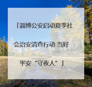 淄博公安启动夏季社会治安清查行动 当好平安“守夜人”