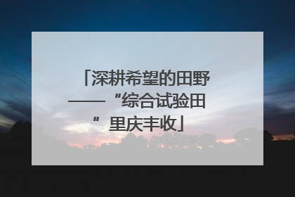 深耕希望的田野——“综合试验田”里庆丰收