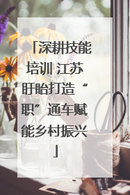 深耕技能培训 江苏盱眙打造“职”通车赋能乡村振兴