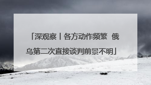 深观察丨各方动作频繁  俄乌第二次直接谈判前景不明