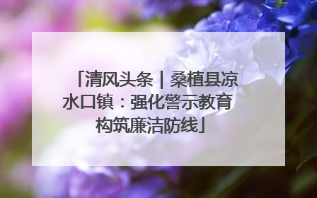 清风头条｜桑植县凉水口镇：强化警示教育 构筑廉洁防线