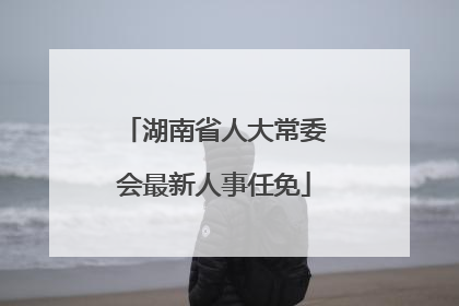 湖南省人大常委会最新人事任免