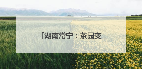 湖南常宁：茶园变课堂 学生采茶忙