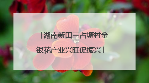 湖南新田三占塘村金银花产业兴旺促振兴