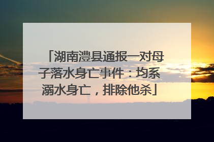 湖南澧县通报一对母子落水身亡事件：均系溺水身亡，排除他杀