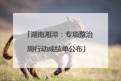 湖南湘潭：专项整治周行动成绩单公布