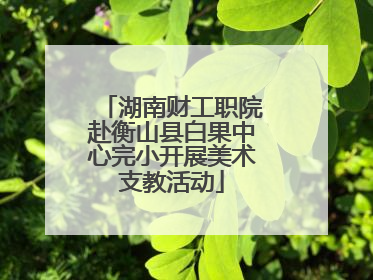 湖南财工职院赴衡山县白果中心完小开展美术支教活动