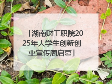 湖南财工职院2025年大学生创新创业宣传周启幕