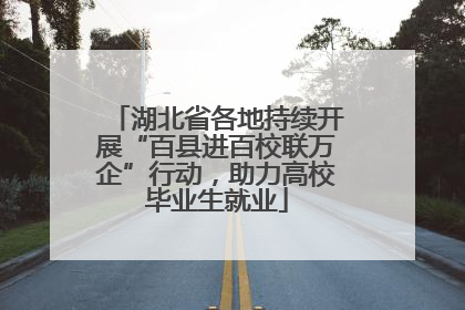 湖北省各地持续开展“百县进百校联万企”行动，助力高校毕业生就业