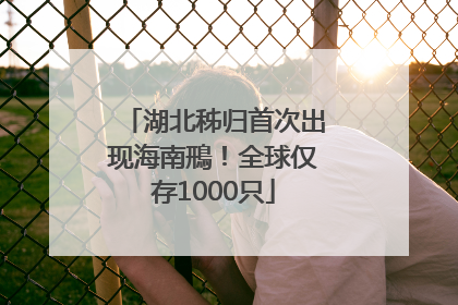 湖北秭归首次出现海南鳽！全球仅存1000只