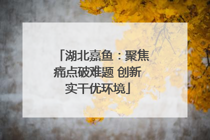 湖北嘉鱼：聚焦痛点破难题 创新实干优环境