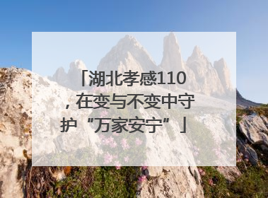 湖北孝感110，在变与不变中守护“万家安宁”