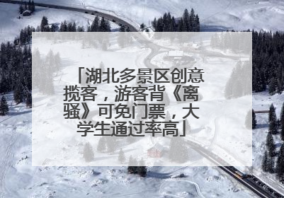 湖北多景区创意揽客，游客背《离骚》可免门票，大学生通过率高