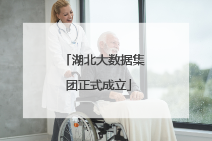 湖北大数据集团正式成立