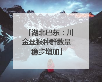 湖北巴东：川金丝猴种群数量稳步增加