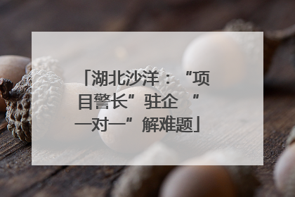 湖北沙洋：“项目警长”驻企 “一对一”解难题