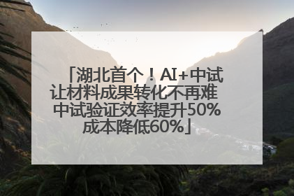 湖北首个！AI+中试让材料成果转化不再难 中试验证效率提升50%成本降低60%