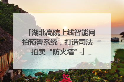 湖北高院上线智能网拍预警系统，打造司法拍卖“防火墙”