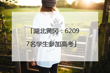 湖北黄冈：62097名学生参加高考