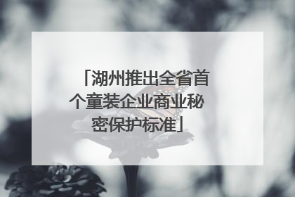 湖州推出全省首个童装企业商业秘密保护标准
