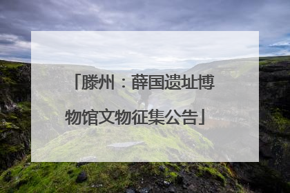 滕州：薛国遗址博物馆文物征集公告